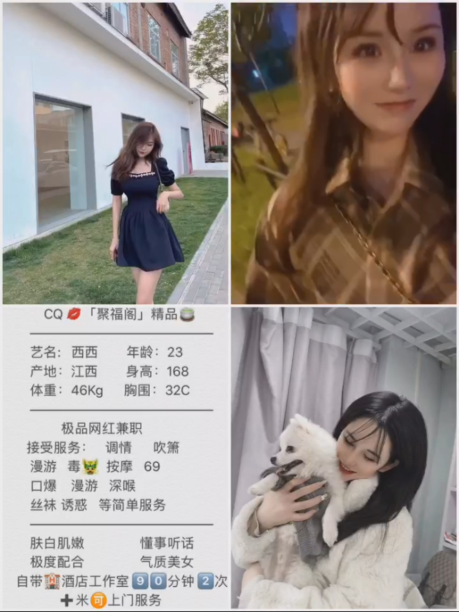 红旗---西西---¥2500